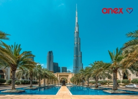 Курс на ОАЭ: Anex объявил полётную программу на зимний сезон 2026/27