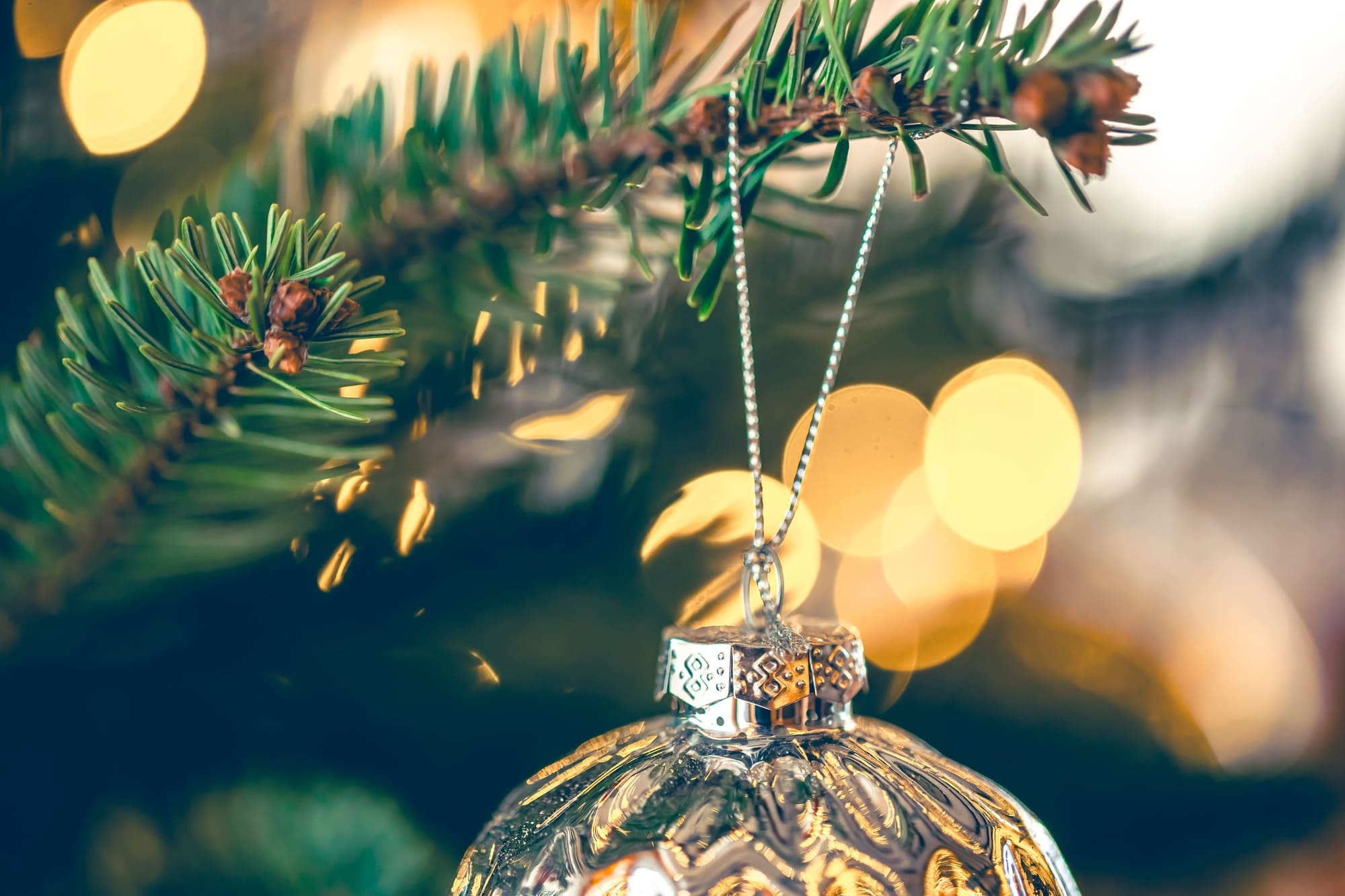 Эксперты РСТ объяснили причины снижения популярности организованных туров в Великий Устюг