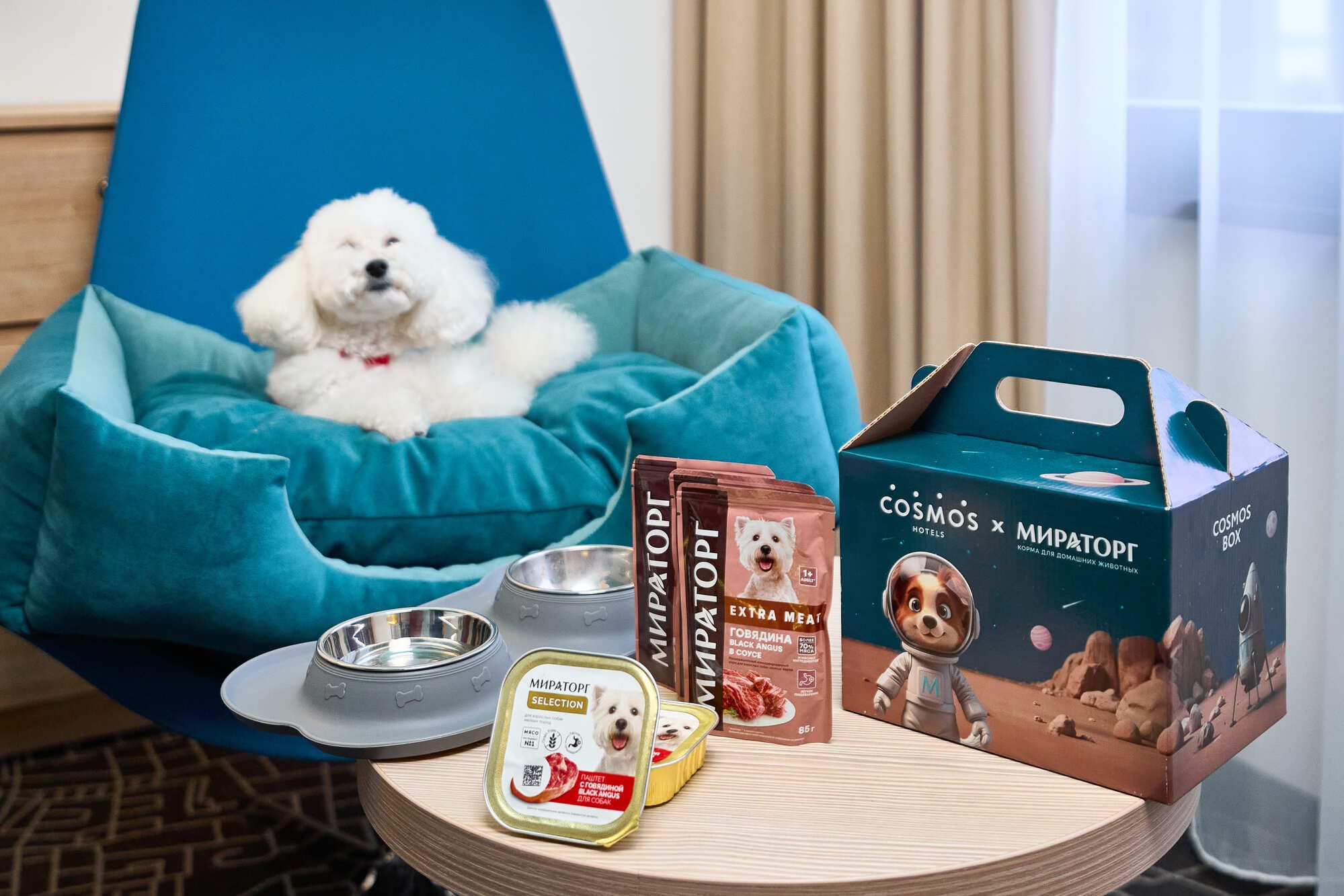 Cosmos Hotel Group запускает специальную акцию для гостей с питомцами