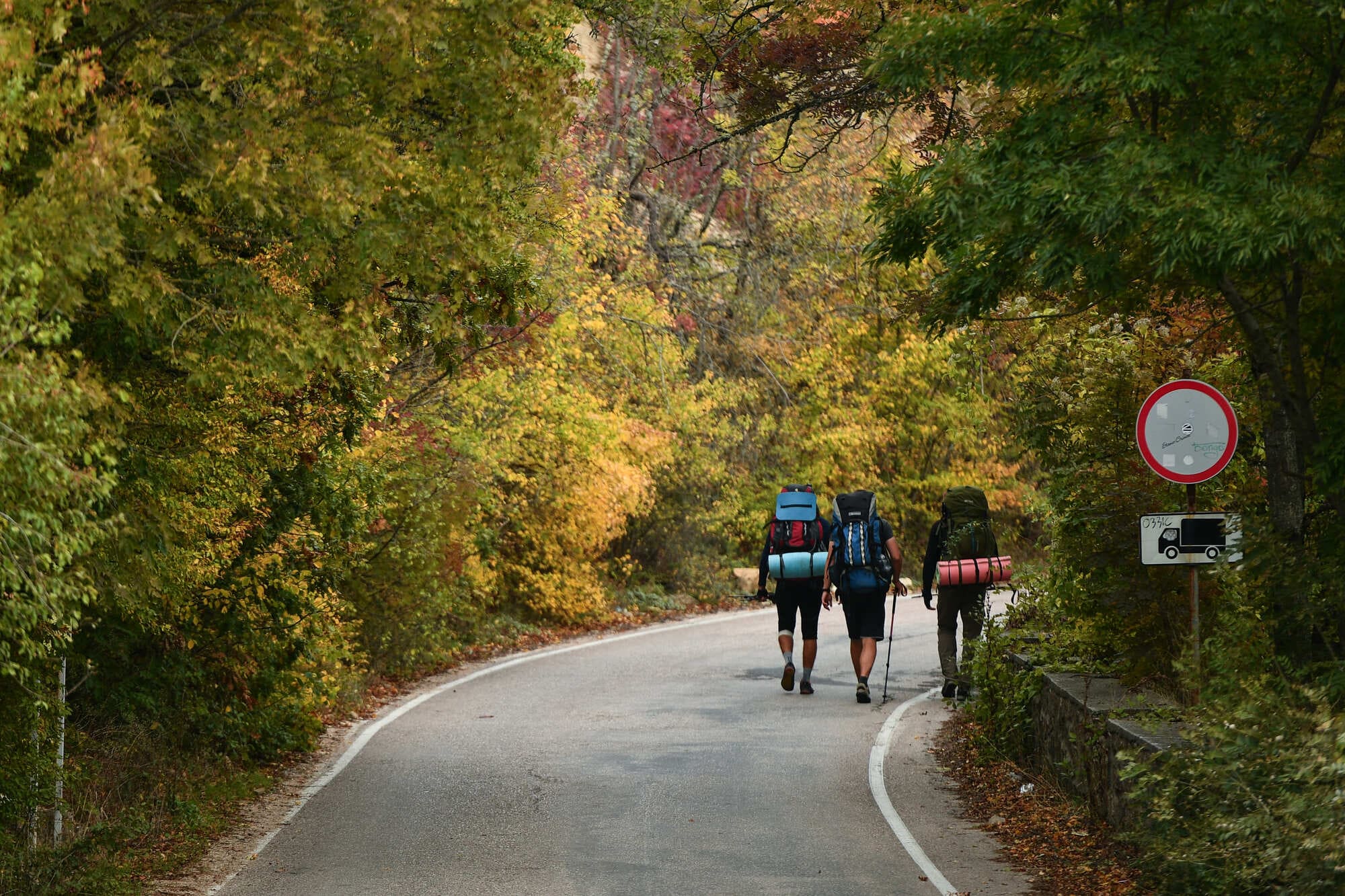 Cпрос на приключенческий туризм растет за счет экспедиционных круизов 