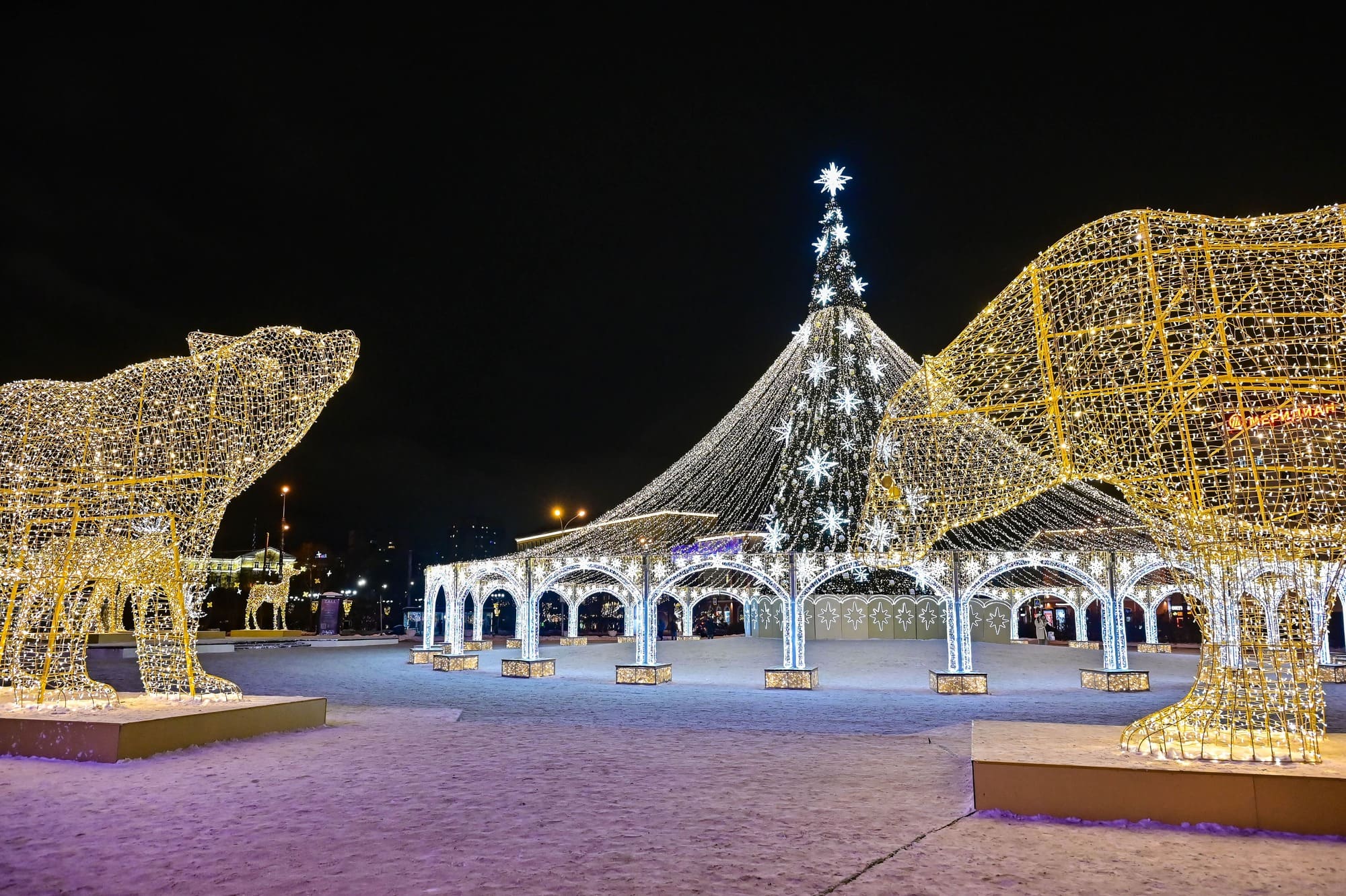 Агрегаторы зафиксировали скачок спроса на отели Мурманска в декабре