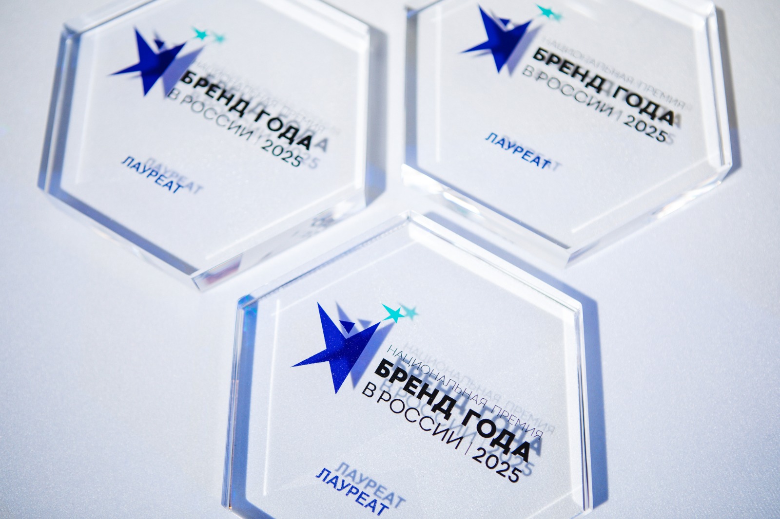 Арктический туроператор «Панарктик Стар» удостоен престижной награды «Бренд года в России 2025»