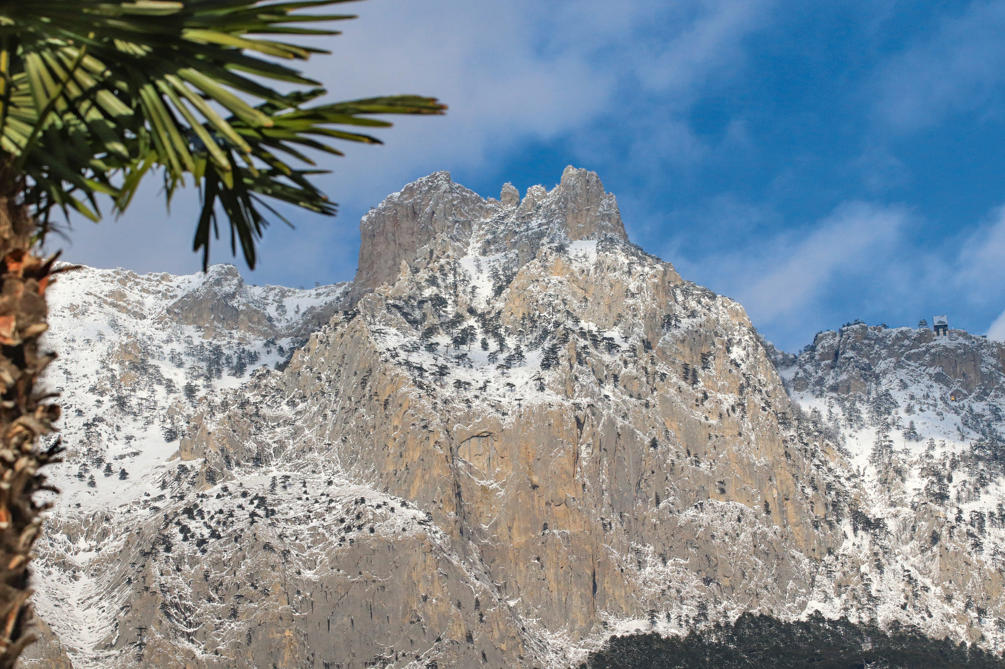 Бронирования отелей Крыма на новогодние каникулы выросли почти на 29%