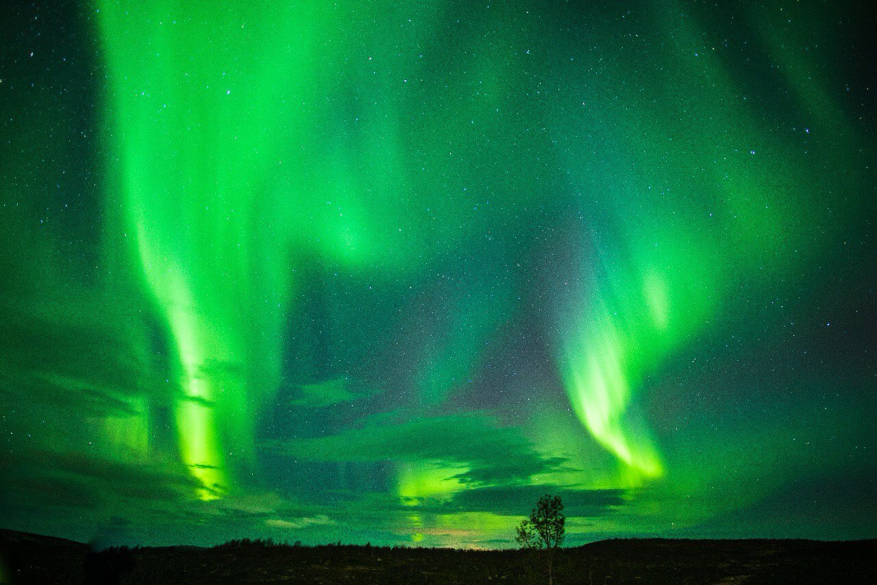 Состоятельные туристы стремятся встретить Новый год на российском севере